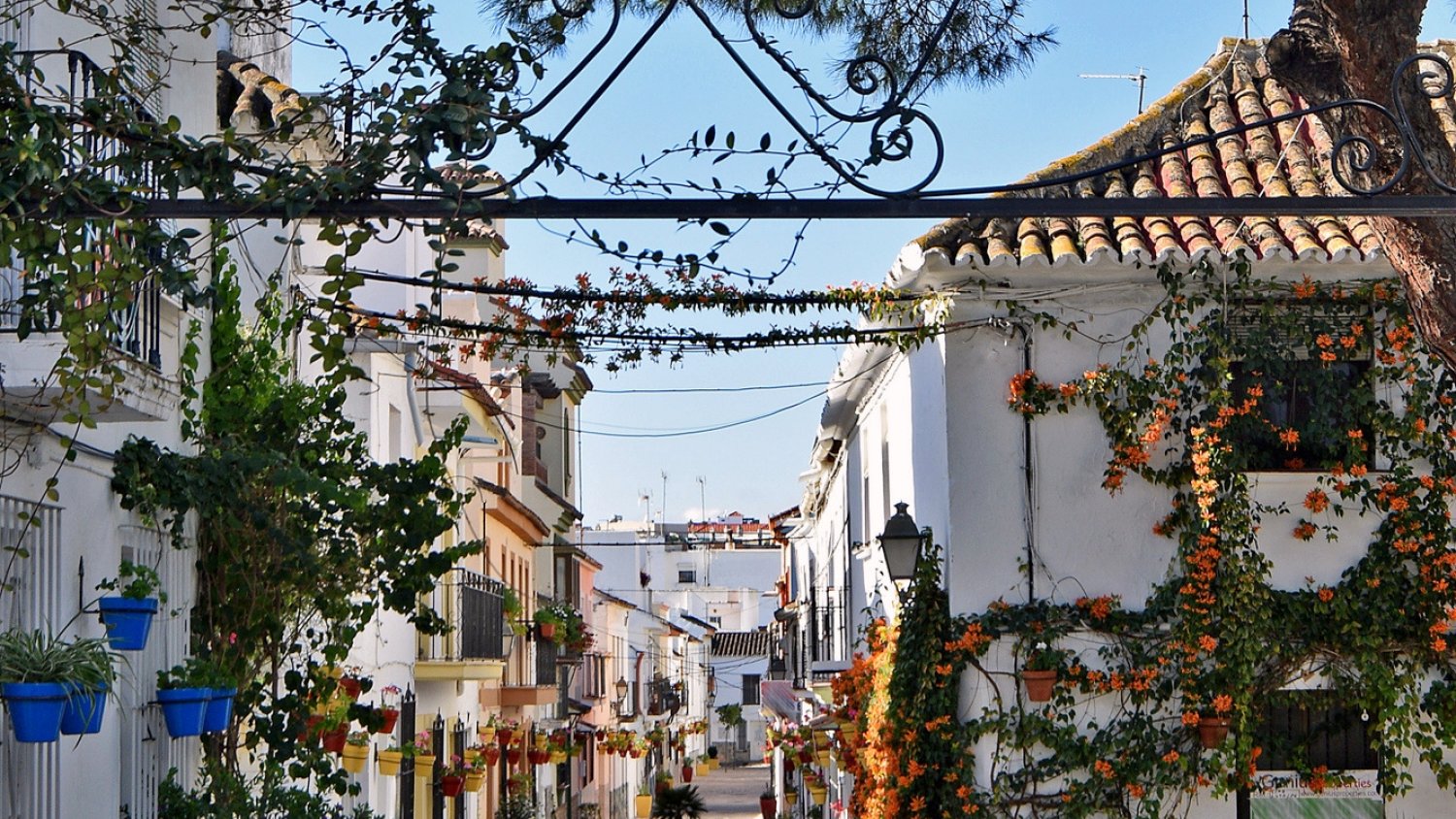 El proyecto de Estepona ‘Jardín de la Costa del Sol’ suma ya 87 actuaciones con la remodelación de la calle Aragón
