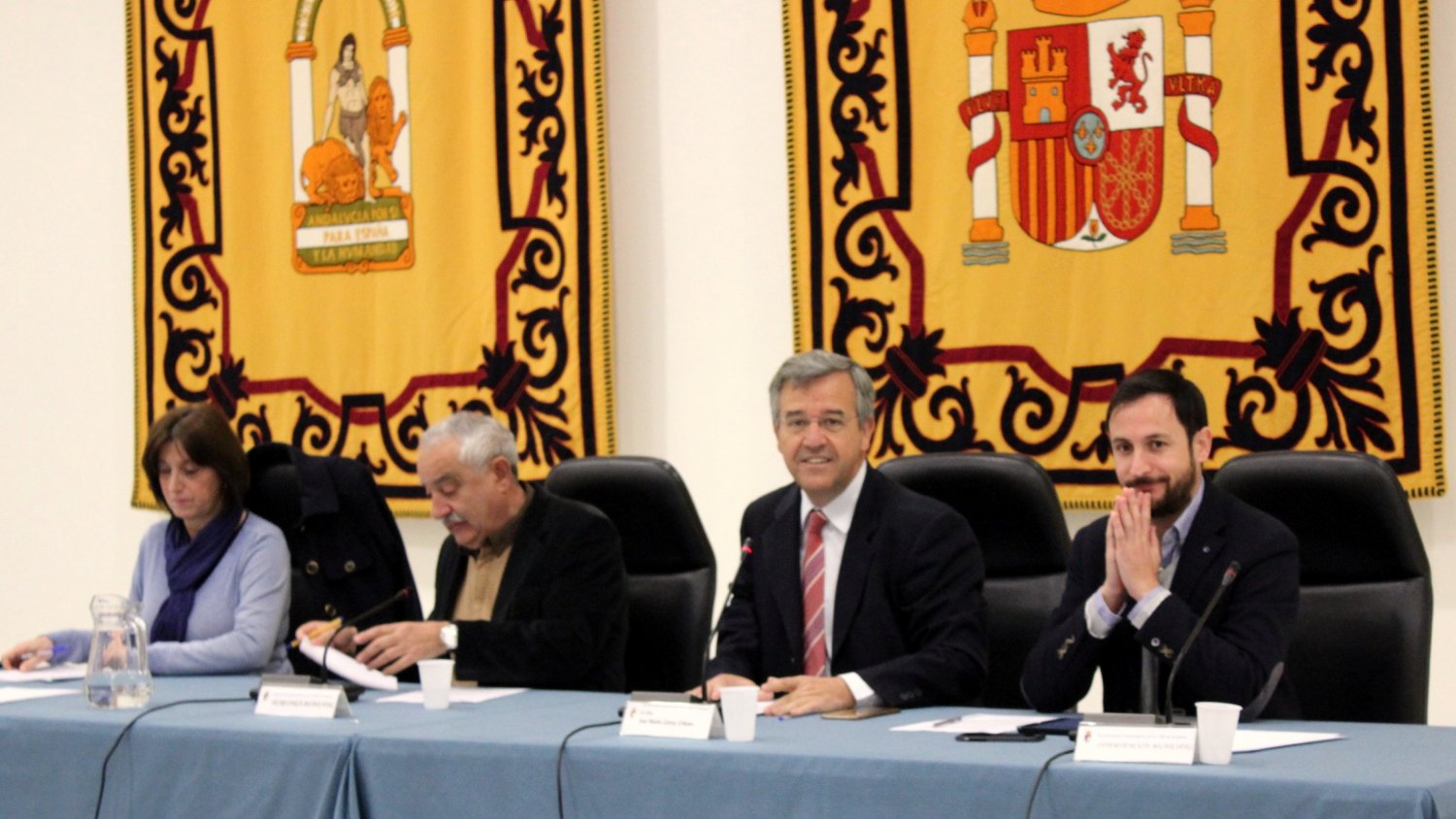 El pleno de Estepona ratifica el convenio para la construir y poner en funcionamiento del Hospital de Alta Resolución