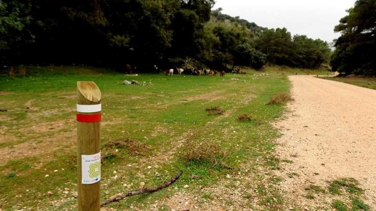 Descubrir la Costa del Sol a través del turismo activo
