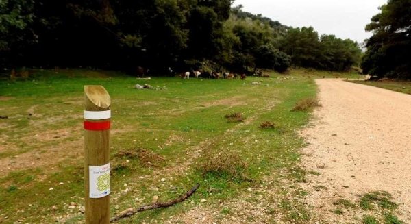 Descubrir la Costa del Sol a través del turismo activo