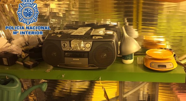 Detenidos en Málaga los responsables de un cultivo de marihuana