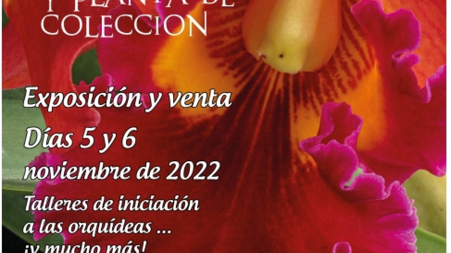 El Parque Botánico-Orquidario de Estepona acoge la VIII Feria de Orquídeas y Plantas de Colección