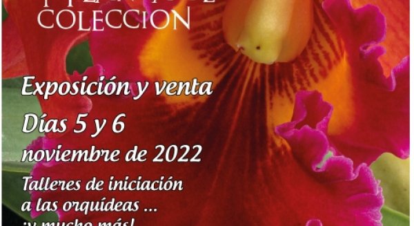 El Parque Botánico-Orquidario de Estepona acoge la VIII Feria de Orquídeas y Plantas de Colección
