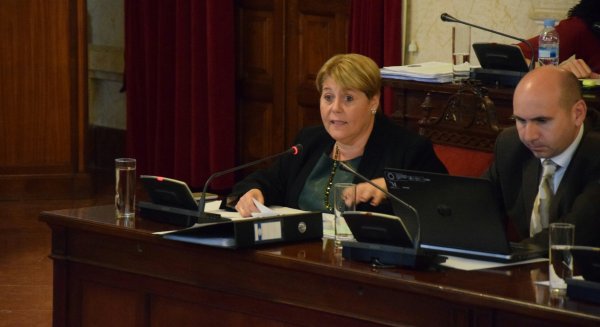 El Pleno aprueba por unanimidad la petición del PSOE de investigar los presuntos espionajes a los trabajadores de la grúa municipal