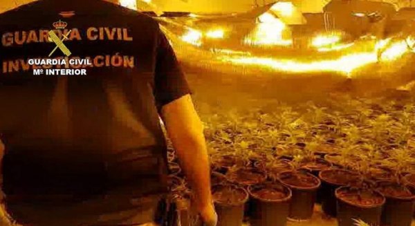Detienen a 21 miembros de una red con plantaciones de marihuana en urbanizaciones exclusivas