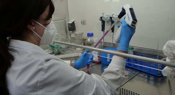 UMA.- La universidad consigue más de 3,5 millones de euros del Plan Andaluz de Investigación, Desarrollo e Innovación