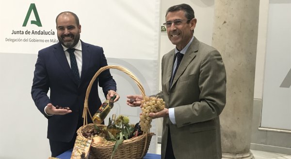 Yunquera vuelve a celebrar su Feria del vino y la castaña después de la pandemia