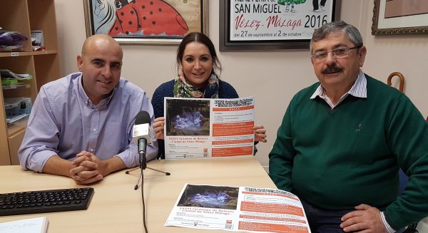 XXXVI edición del Certamen de Belenes 'Ciudad de Vélez-Málaga'