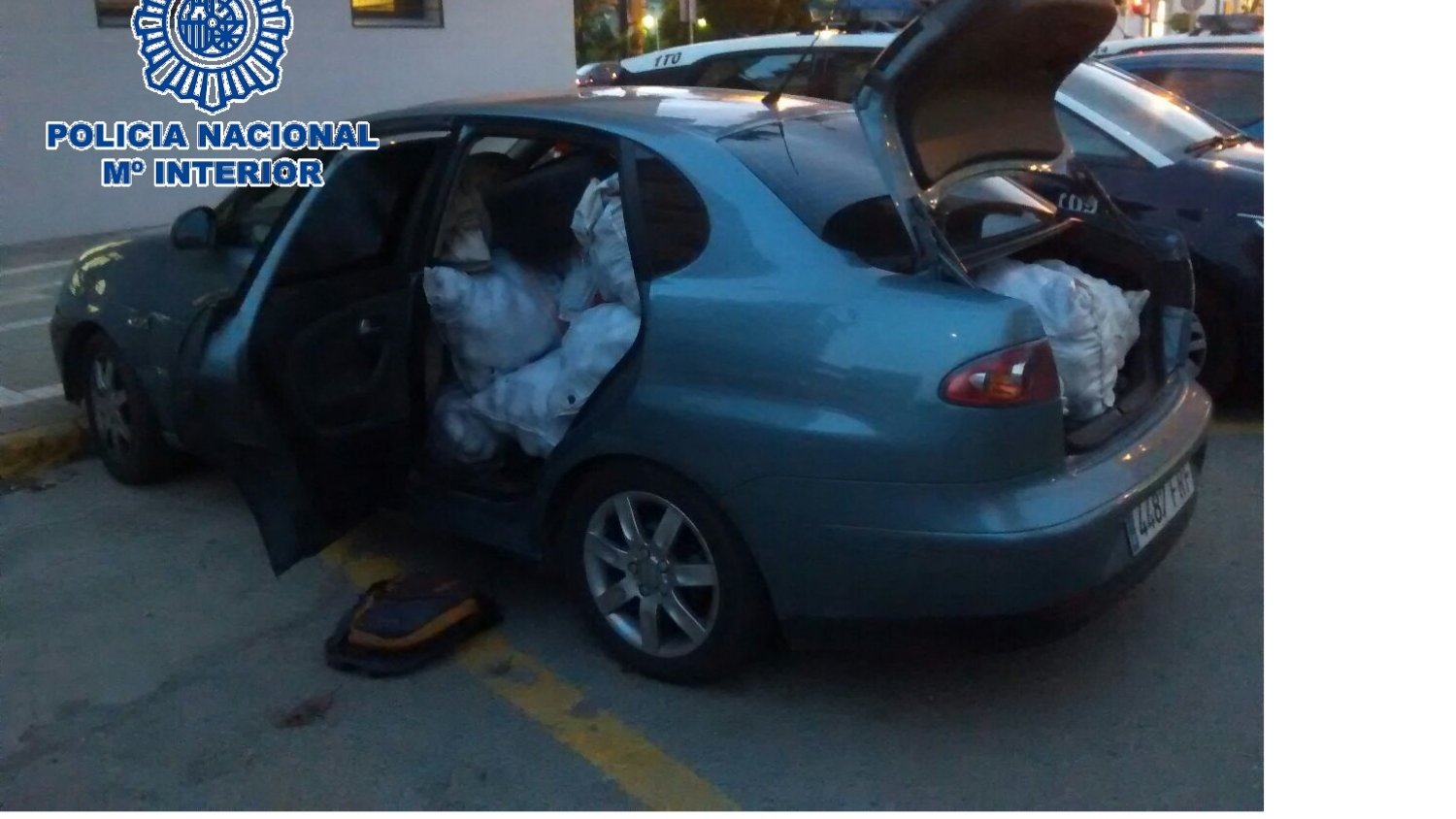 Recuperan 2.401 kilos de aguacates y desarticulan un grupo criminal que saqueaba explotaciones agrícolas