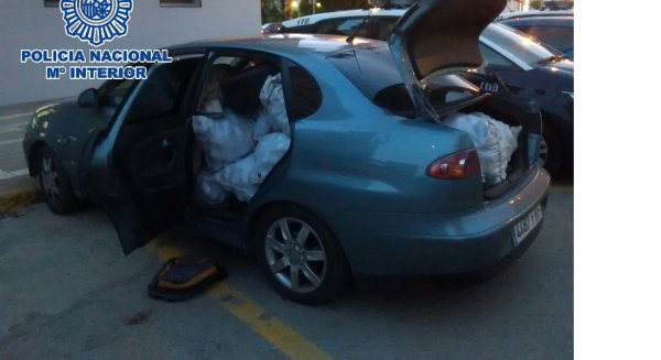 Recuperan 2.401 kilos de aguacates y desarticulan un grupo criminal que saqueaba explotaciones agrícolas