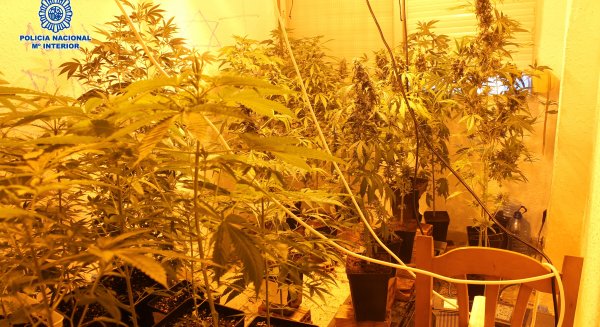 Desarticulan en el mes de octubre 18 puntos de venta de drogas y detienen a 37 personas