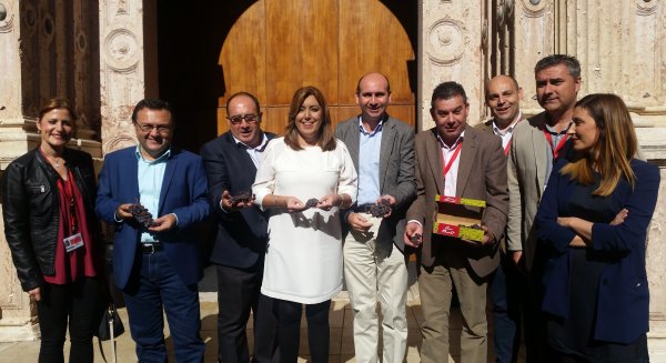 El PSOE pide el apoyo del Parlamento andaluz a la uva pasa malagueña