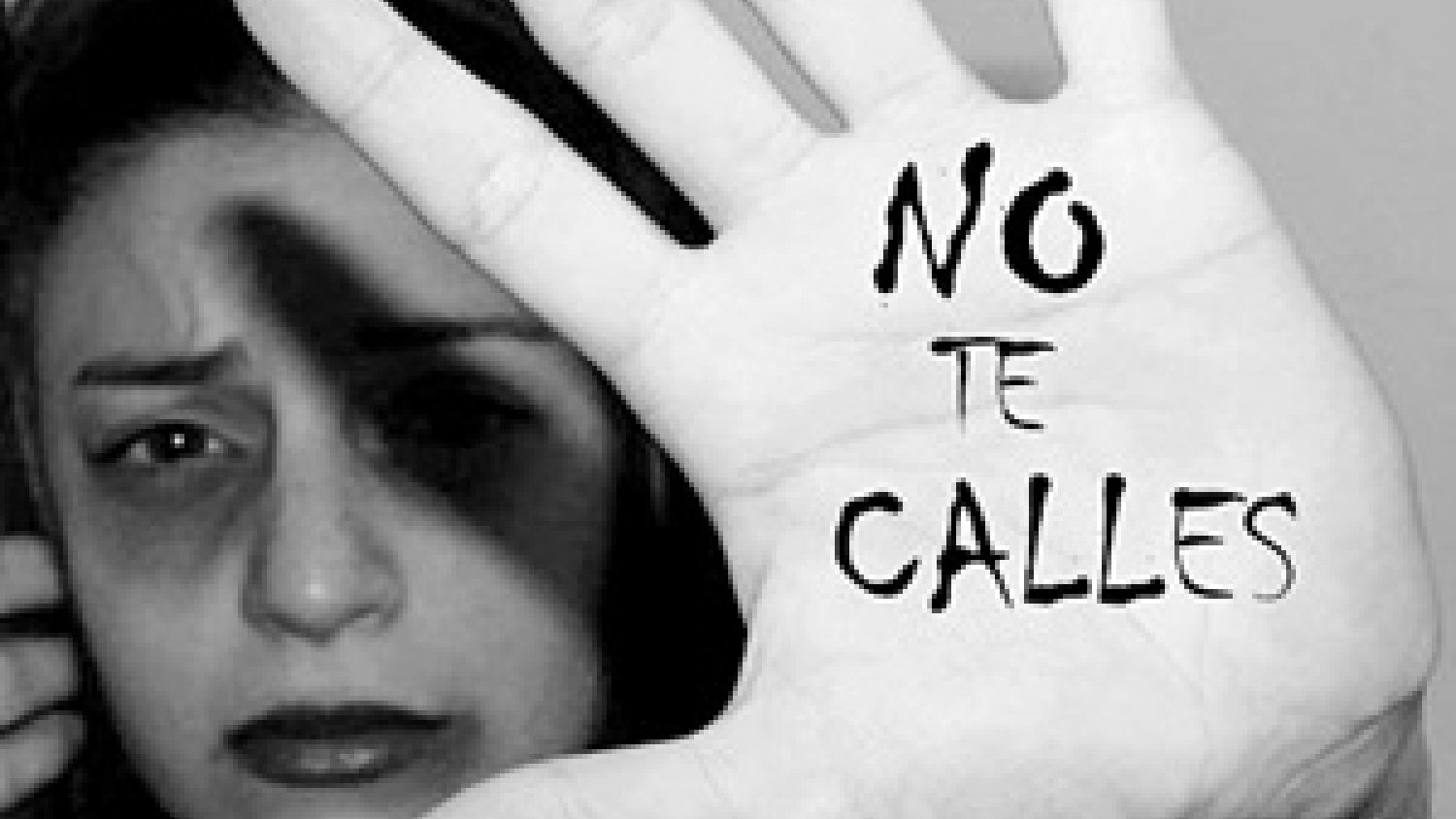 IU promueve en Diputación que se destinen partidas para combatir la violencia de género