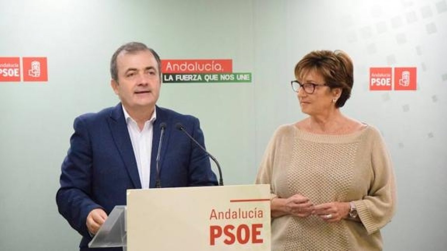 El PSOE critica que la marcha por la sanidad de Málaga es una manifestación política y no ciudadana promovida por un separatista