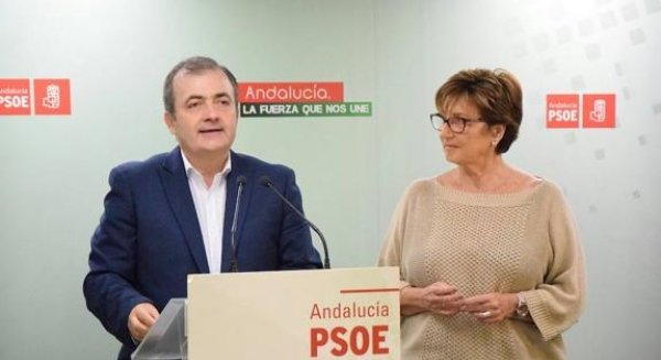 El PSOE critica que la marcha por la sanidad de Málaga es una manifestación política y no ciudadana promovida por un separatista