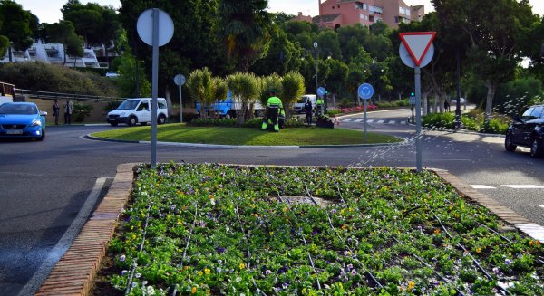 Estepona decora las zonas verdes en Navidad con 130.000 plantas  de color