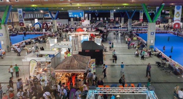 Exhibiciones caninas, monográficos, muestra felina y exposiciones de animales en el 5º salón 'Mi Mascota'