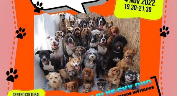 'Love to sing' actuará a beneficio de la Asociación por los Derechos de los Animales Abandonados de Estepona