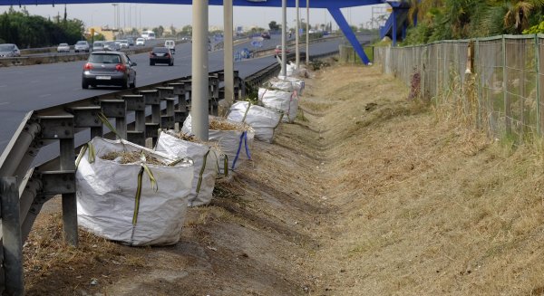 El Ayuntamiento de Málaga desbroza más de 25.000 m2 en cunetas de carreteras urbanas