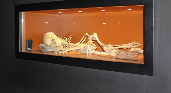El Museo de Nerja aborda la restauración del esqueleto epipaleolítico hallado en la Cueva