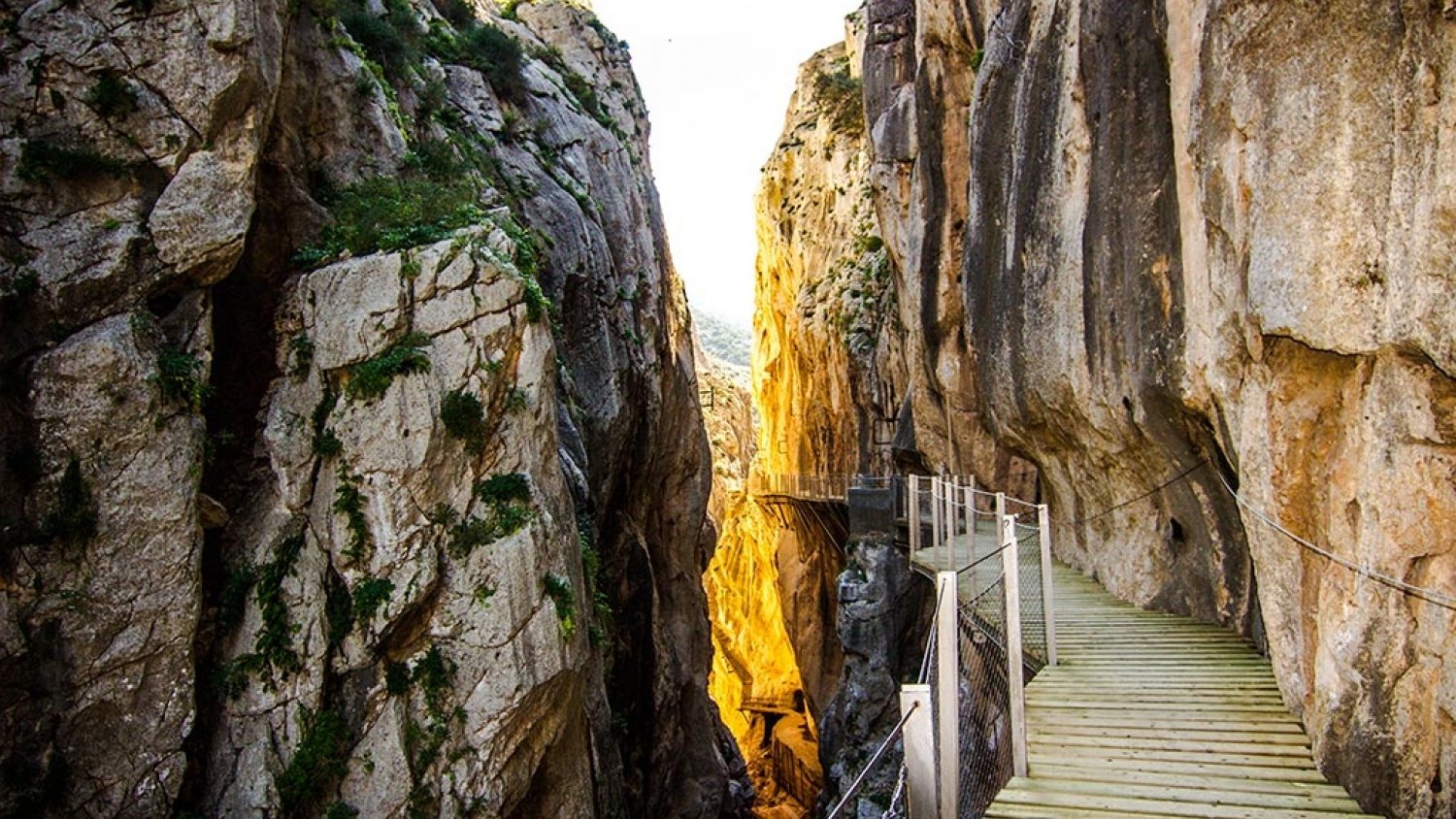 El Caminito del Rey recibe el Premio Andalucía del Turismo 2016 en la modalidad de ‘Buenas Prácticas’