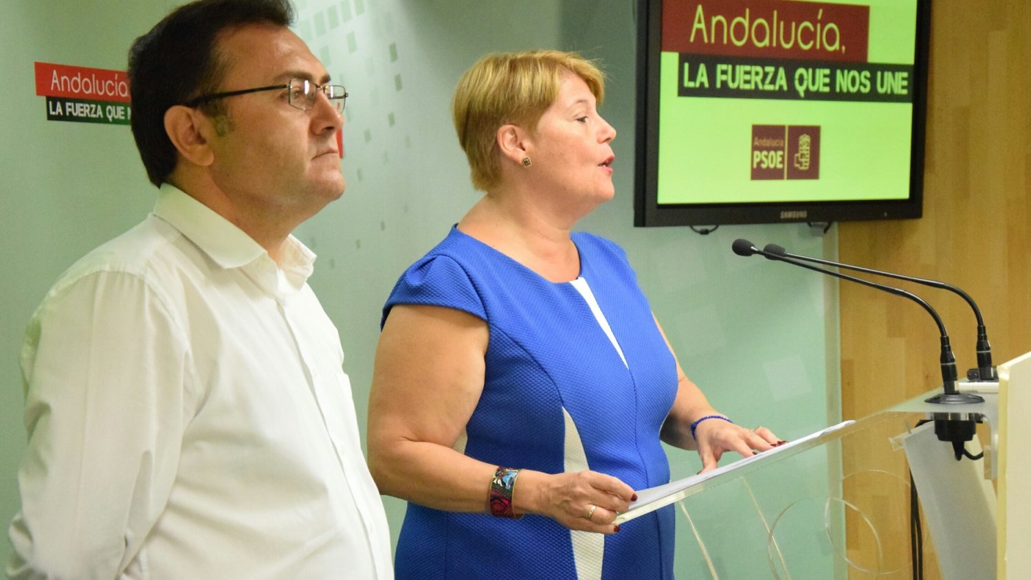 El PSOE promoverá el desarrollo comercial del muelle 4 del Puerto de Málaga