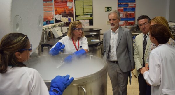 El Banco de Sangre de Cordón Umbilical de Andalucía ocupa el primer puesto nacional y el tercero a nivel mundial