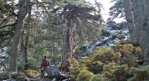 La Diputación recuperará senderos abandonados de Tolox, corazón del futuro Parque Nacional de la Sierra de las Nieves