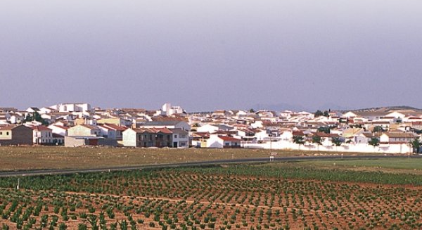 La Feria de la Vendimia de Mollina espera recibir cerca de 8.000 visitantes