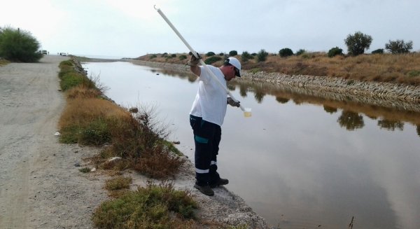 Técnicos municipales y autonómicos no detectan larvas de mosquito en la desembocadura del Guadalhorce