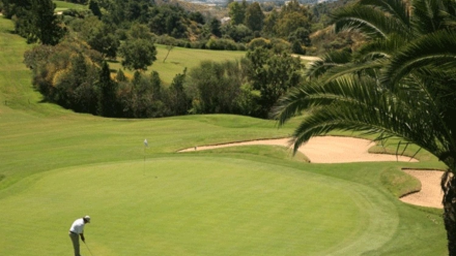 Los campos de golf: un hábitat para combatir el duro verano para los animales