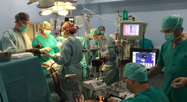 Un enfermero del Hospital Regional de Málaga diseña un protocolo de técnicas de perfusión en circulación extracorpórea