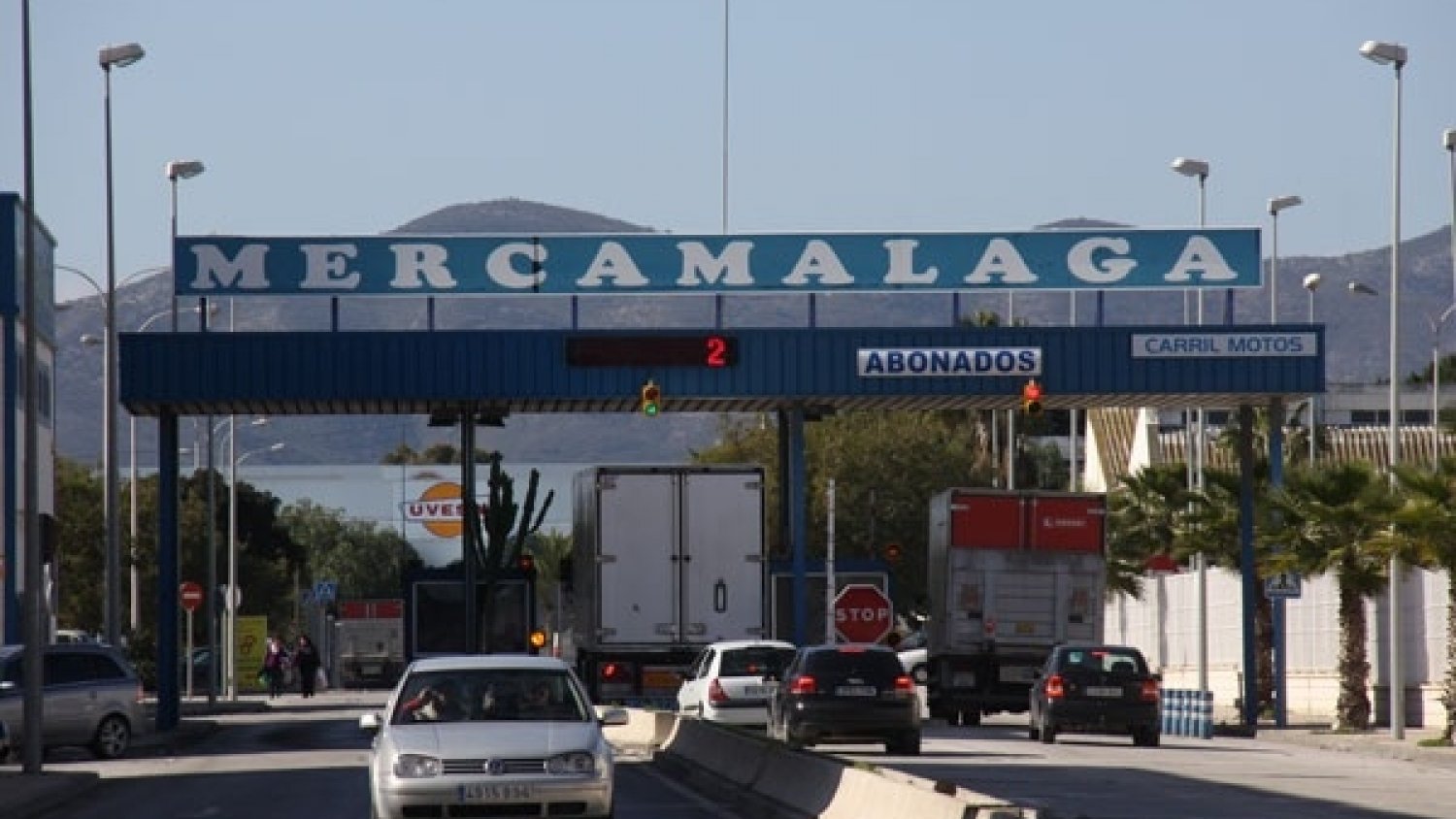 Decomisados 47.593 kilos de productos pesqueros en el primer semestre de 2016