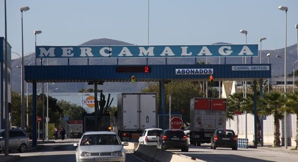 Decomisados 47.593 kilos de productos pesqueros en el primer semestre de 2016