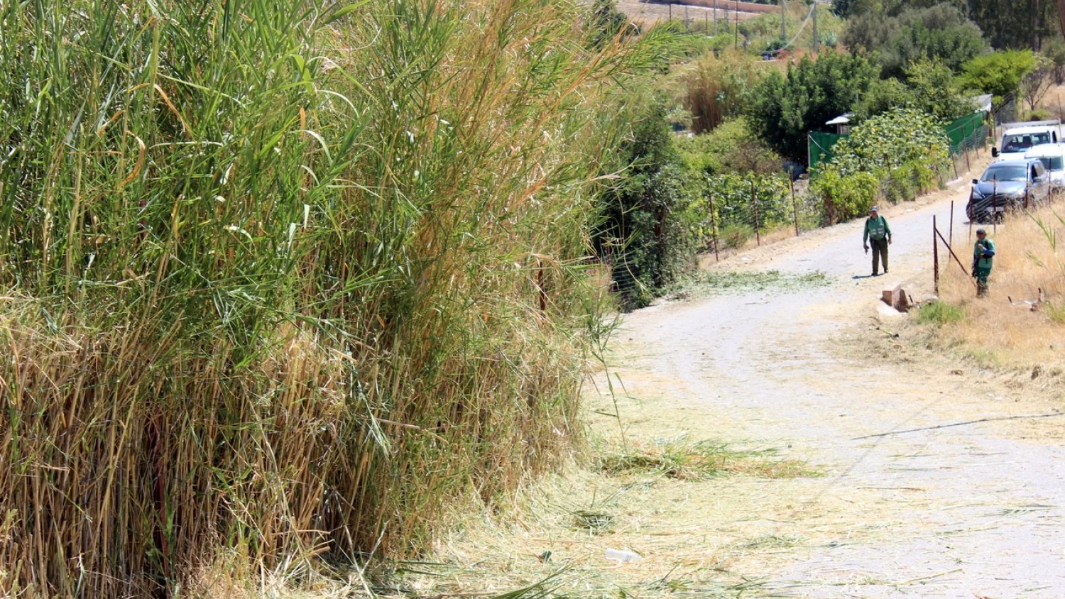 El Ayuntamiento de Estepona adjudica los trabajos de mejora en el camino Lastra de los Chivos