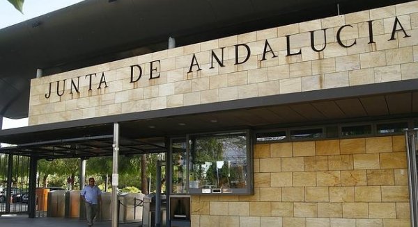 Cultura da luz verde al inicio de nuevas actuaciones relacionadas con fosas comunes en Málaga