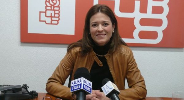 El PSOE pide al PP que refuerce las medidas contra los mosquitos en el entorno del río Guadalhorce