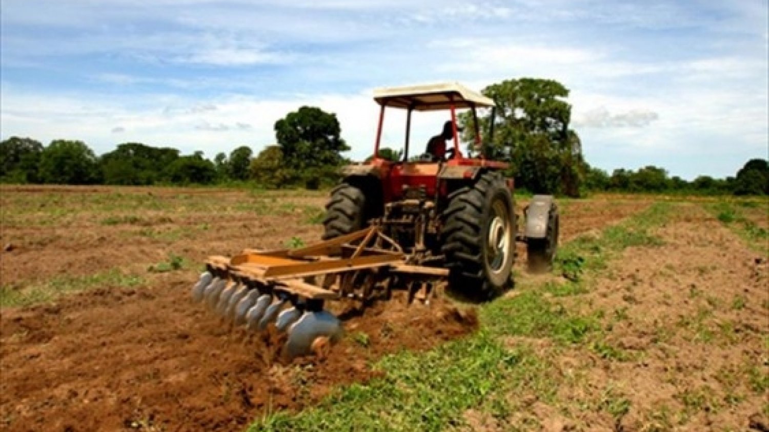 La Consejería de Agricultura registra 258.228 solicitudes de ayudas directas de la PAC