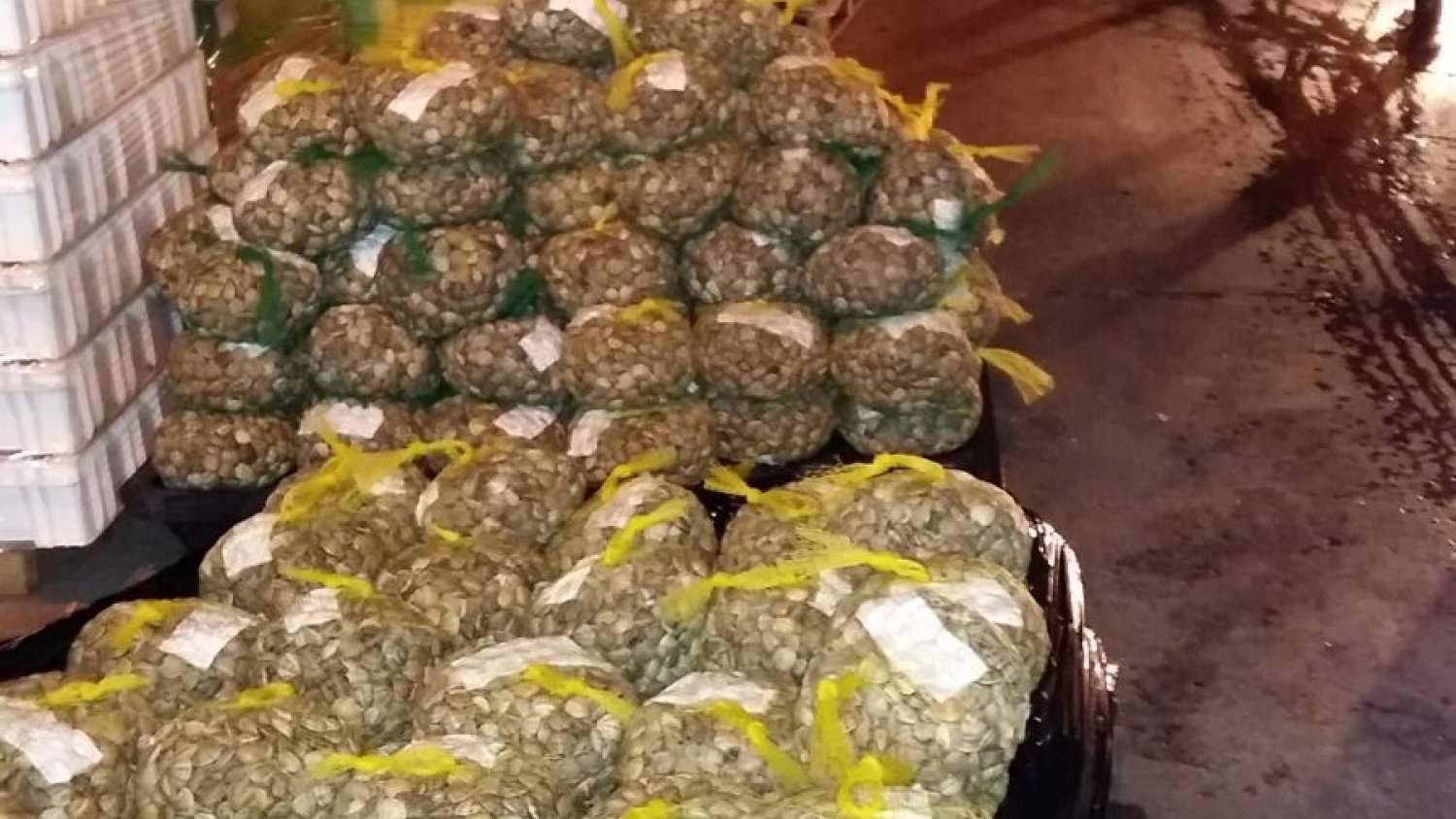 Decomiso de 703 kilos de marisco y pescado inmaduro o sin trazabilidad en Mercamálaga