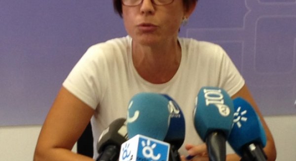 El PSOE celebra que la oposición diga no al proyecto del PP en Hoyo de Esparteros