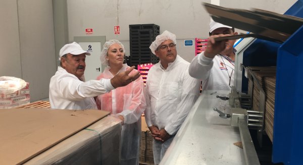 España (PP) subraya el compromiso del PP con el sector agroalimentario