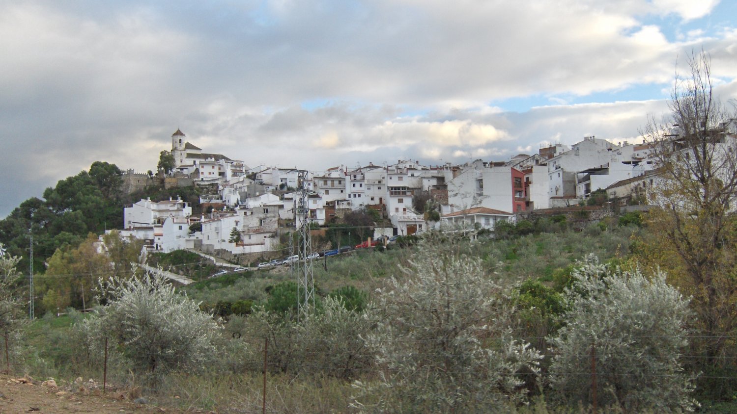Fallece un hombre al caer su vehículo por un terraplen en Alozaina