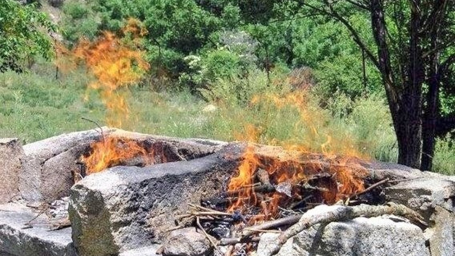 Medio Ambiente prohibe las barbacoas y quemas agrícolas