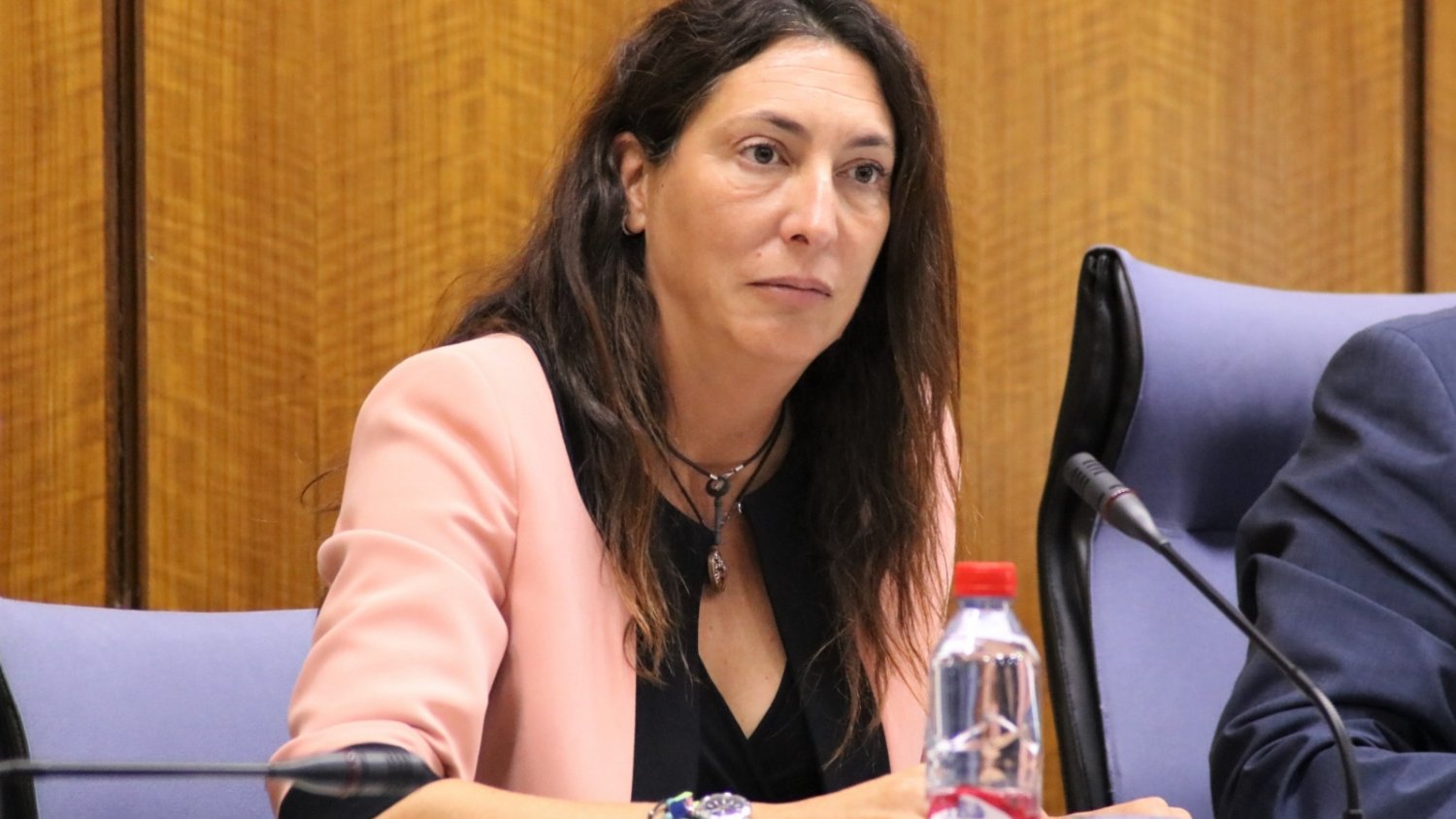 Loles López aplaude la creación de una Comisión de Discapacidad en el Parlamento