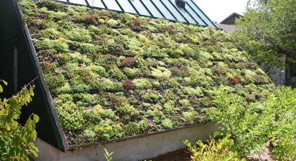 Las prácticas ecológicas tienen efectos beneficiosos para el sector hotelero