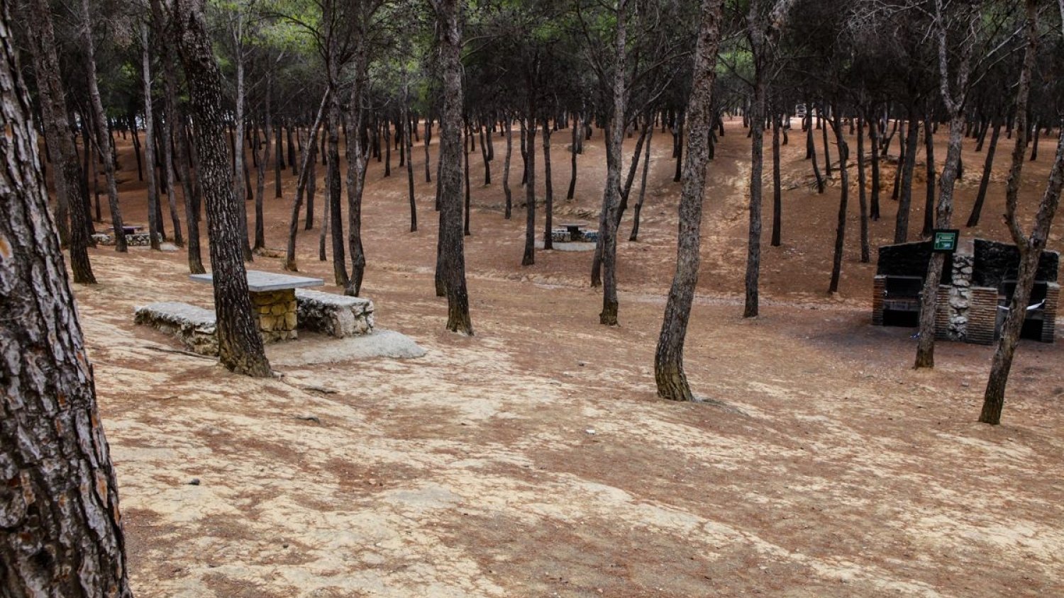 Torremolinos iniciará actuaciones de reparación y mejora de las barbacoas del Pinar de los Manantiales