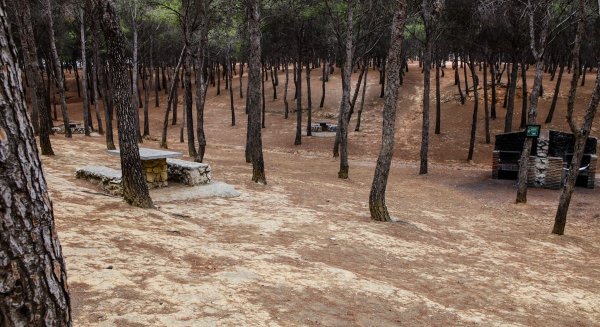 Torremolinos iniciará actuaciones de reparación y mejora de las barbacoas del Pinar de los Manantiales