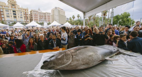 La tercera edición del Málaga Gastronomy Festival cierra con una ocupación media del 90 % en las actividades desarrolladas