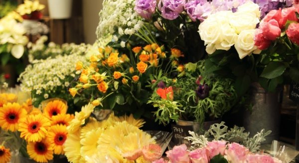 Torremolinos habilita el entorno del cementerio para que las floristerías locales tengan puntos de venta