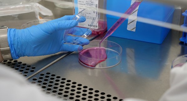 UMA.- La universidad recibe 4,5 millones para proyectos de transición ecológica y digital